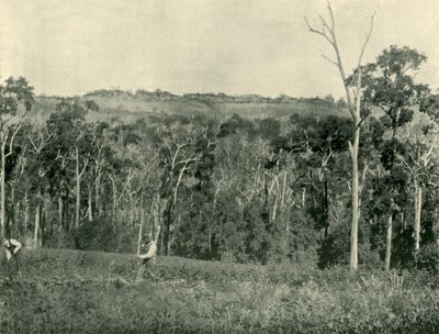 Wiktoriańska górska farma, 1901. autorstwa Unbekannt