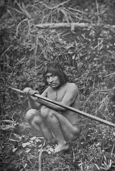 Yaghan przyczepiający głowę swojego harpuna do szybu, 1911 autorstwa Unbekannt