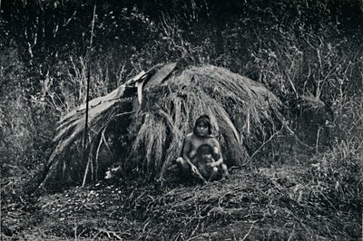 Chata Yaghan w Fuegia, 1911 autorstwa Unbekannt
