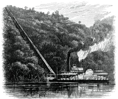 Zsyp do bawełny, Stany Zjednoczone, ok. 1880 r. autorstwa Unbekannt
