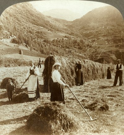Rodzina rolników robi siano na słonecznym polu między górami, Roldal, Norwegia, c1905. autorstwa Unbekannt