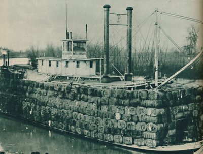 Pełny ładunek bawełny często wznosi się wysoko nad pokładami parowców Missisipi, 1937 autorstwa Unbekannt