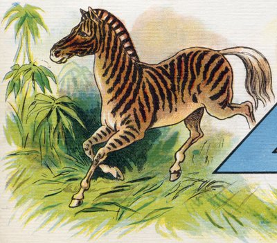 Zebra. Grawerowanie w "ABC L