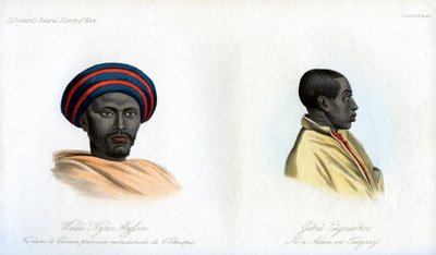 Portrety abisyńskie, 1848 autorstwa Unbekannt