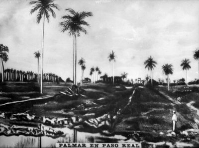 Akcja PasoReal, 1896, 1920 autorstwa Unbekannt