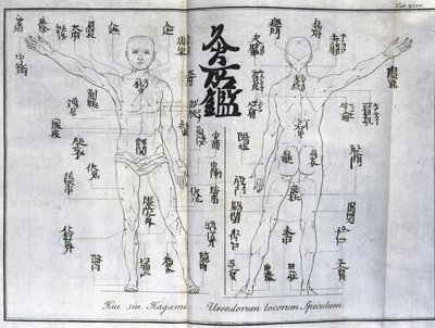 Akupunktura: mapa ludzkiego ciała wskazująca punkty moxibustion, Japonia (wykres dotyczący moksy, ok. 1690) autorstwa Unbekannt