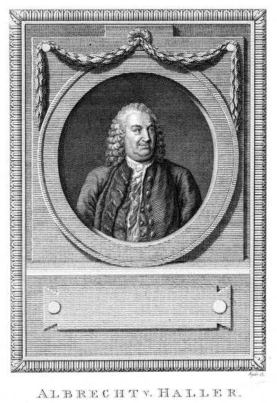 Albrecht von Haller, szwajcarski lekarz i naukowiec, ok. 1770 ok. 1780 autorstwa Unbekannt