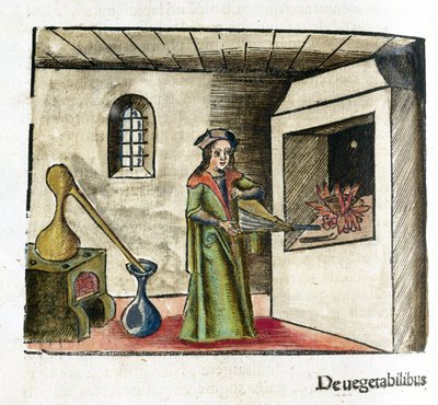 Alchemia XVI wiek: alchemik przy pracy, uruchamiający miech przed kominkiem swojego warsztatu, za nim piec i destylator autorstwa Unbekannt