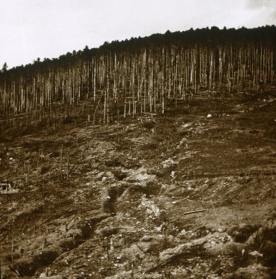 Alzacja, c1914-c1918 autorstwa Unbekannt