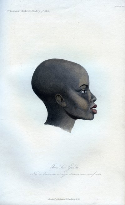 Amochi Galla, portret Galli, 1848 autorstwa Unbekannt