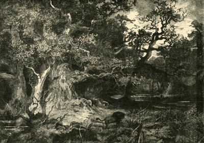 Stary las niemiecki, 1890. autorstwa Unbekannt