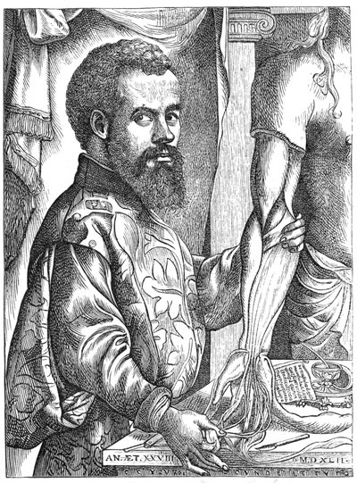 Andreas Vesalius, XVI-wieczny anatom flamandzki autorstwa Unbekannt