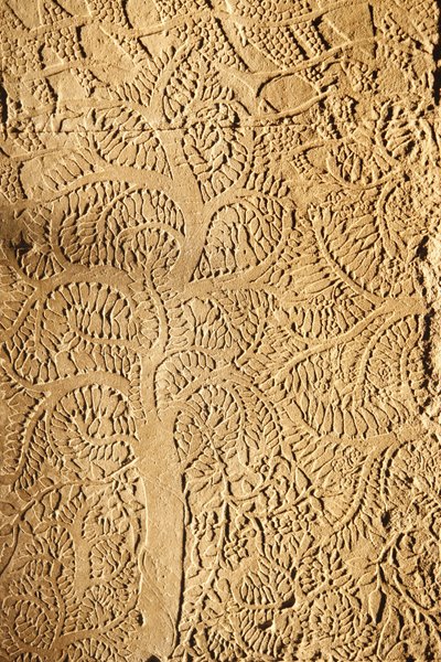 Angkor Wat, rzeźbione detale na WallTree, Siem Reap, Kambodża autorstwa Unbekannt