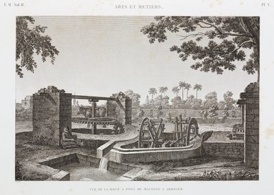 Animal Power Wheel i system nawadniania kubełkowego, Egipt, ok. 1798 r. autorstwa Unbekannt