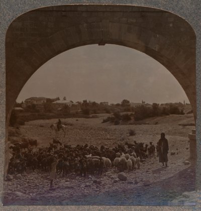 Akwedukt pokazujący Jerycho przez Arch, ok. 1900 autorstwa Unbekannt