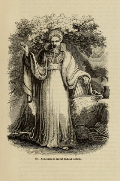 Arcydruid w pełnym kostiumie sędziowskim Z książki Old England: A Pictorial Museum, 1845 autorstwa Unbekannt