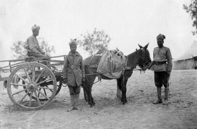 Korpus służby wojskowej, Howshera, 1917 autorstwa Unbekannt
