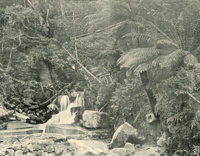 W St. Crispins Well, 1901. autorstwa Unbekannt