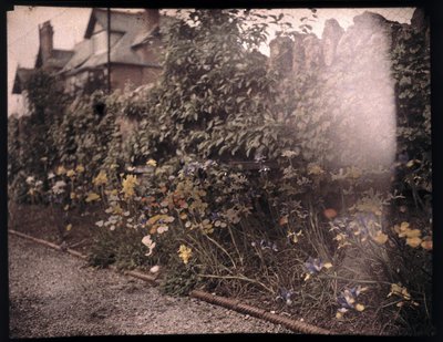 Autochrom kwiatów, ok. 1908 autorstwa Unbekannt