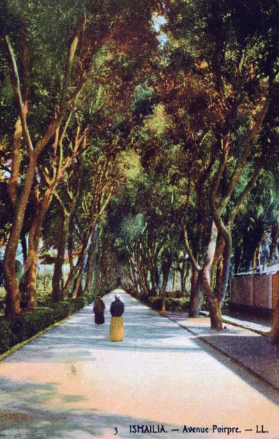 Avenue Poirpre, Ismailia, Egipt, ok. 1900 autorstwa Unbekannt