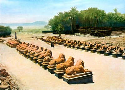 Aleja sfinksów z głowami barana, świątynia Amona-Re, Karnak, Luksor, Egipt, XX w. autorstwa Unbekannt