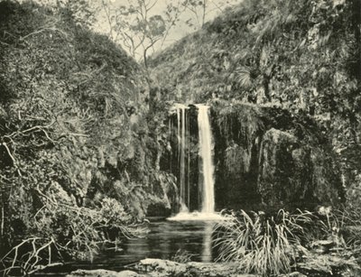 Back Creek Falls, Buchan River, Victoria, 1901. autorstwa Unbekannt