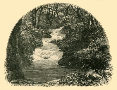Bagworthy zjeżdżalnia wodna, 1898. autorstwa Unbekannt