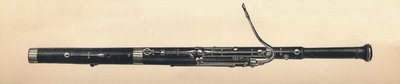 Fagot, 1895. autorstwa Unbekannt