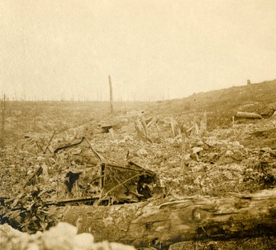 Pole bitwy, Bezonvaux, Verdun, północna Francja, c1914-c1918 autorstwa Unbekannt