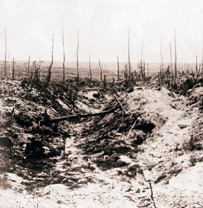 Pole bitwy, c1914-c1918 autorstwa Unbekannt