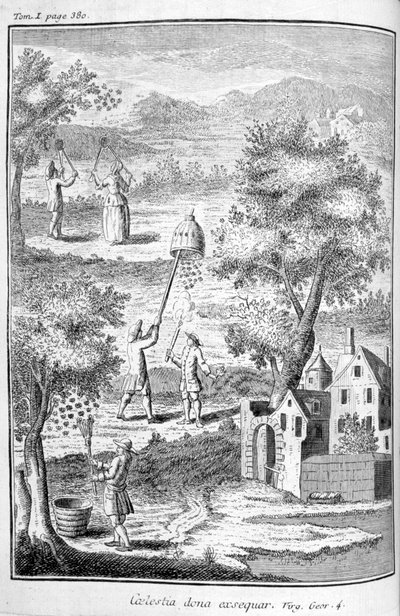 Pszczelarstwo, 1775 autorstwa Unbekannt