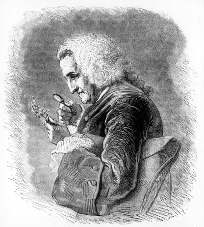 Bernard de Jussieu, XVIII-wieczny francuski botanik, 1880 autorstwa Unbekannt
