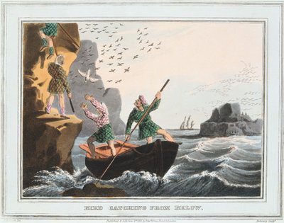 Łapanie ptaków z dołu, Szetlandy, 1813 autorstwa Unbekannt