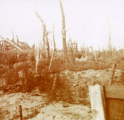 Śrutowane drewno, Nieuwpoort, Flandria, Belgia, c1914-c1918 autorstwa Unbekannt