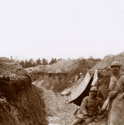 Bois de la Grille, północna Francja, c1914-c1918 autorstwa Unbekannt