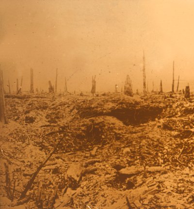 Bois du Chapitre, Vaux, północna Francja, c1914-c1918 autorstwa Unbekannt