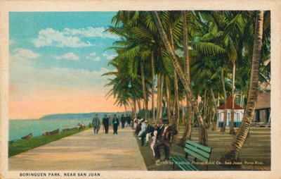 Park Borinquen, niedaleko San Juan, 1909 autorstwa Unbekannt