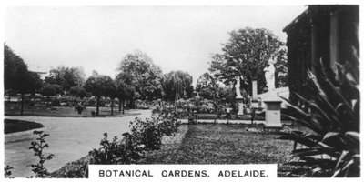 Ogrody Botaniczne, Adelajda, Australia, 1928 autorstwa Unbekannt