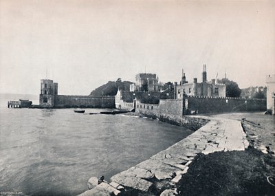 Wyspa Branksea – Widok ogólny zamku, 1895 autorstwa Unbekannt