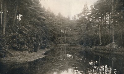 Branksome Chine i Lake, c1910 autorstwa Unbekannt