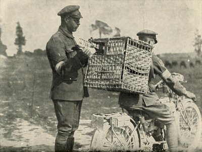 British Army Carrier Pigeons we Francji, 1919. autorstwa Unbekannt