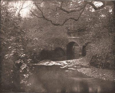 Potok i most w New Forest, Hampshire, 1894. autorstwa Unbekannt