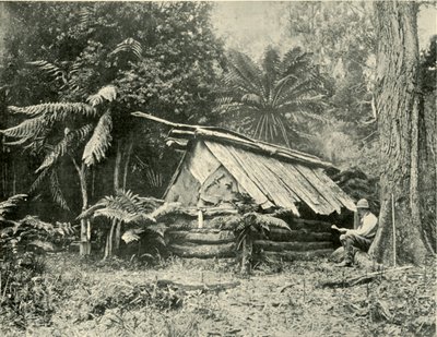 Bush Hut, Dandenong Ranges, Wiktoria, 1901. autorstwa Unbekannt