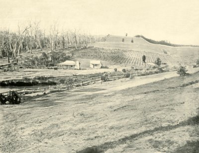 Bush Workmans Home, Gippsland, Victoria, 1901. autorstwa Unbekannt