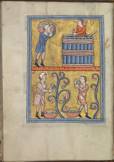 Kalendarz, wrzesień, mężczyźni zbierający i depczący winogrona - Psałterz Eleonory Akwitanii (ok. 1185) - KB 76 F 13, folium 009v autorstwa Unbekannt