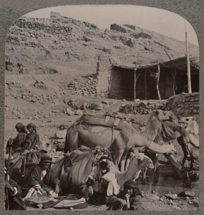 Pociąg wielbłądów z Jerash, podlewanie przy Fontannie Elizeusza, ok. 1900 autorstwa Unbekannt