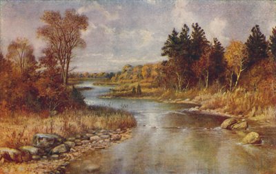 Kanadyjska scena leśna, 1924 autorstwa Unbekannt