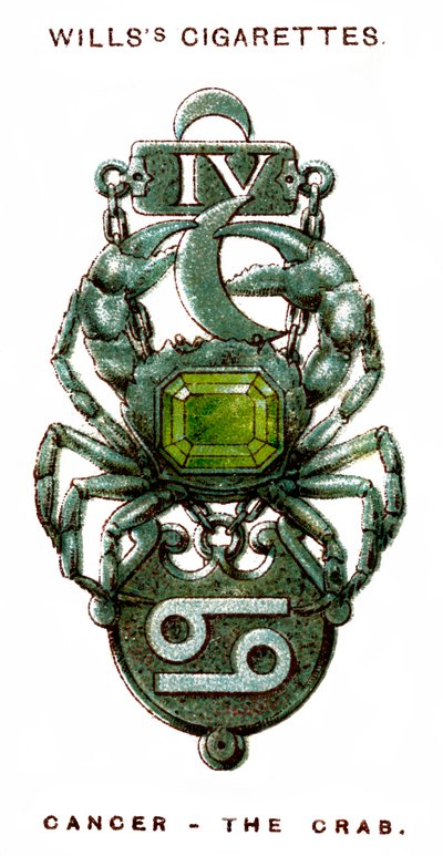 Rak, Krab, 1923 autorstwa Unbekannt