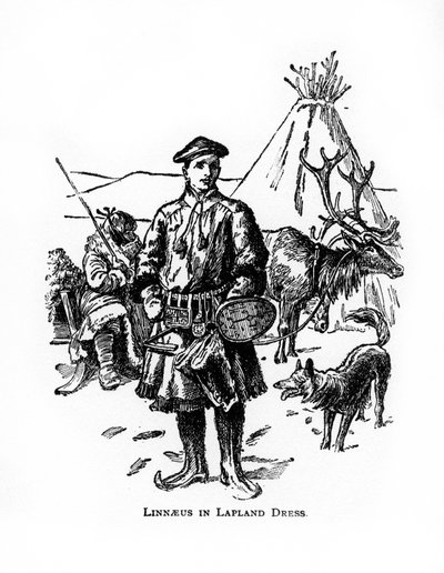Carolus Linneusz, XVIII-wieczny szwedzki botanik, lekarz i zoolog, XX w. autorstwa Unbekannt