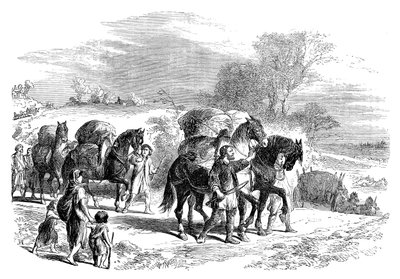 Wożenie chleba do Londynu na jucznych koniach, ok. 1895 r. autorstwa Unbekannt